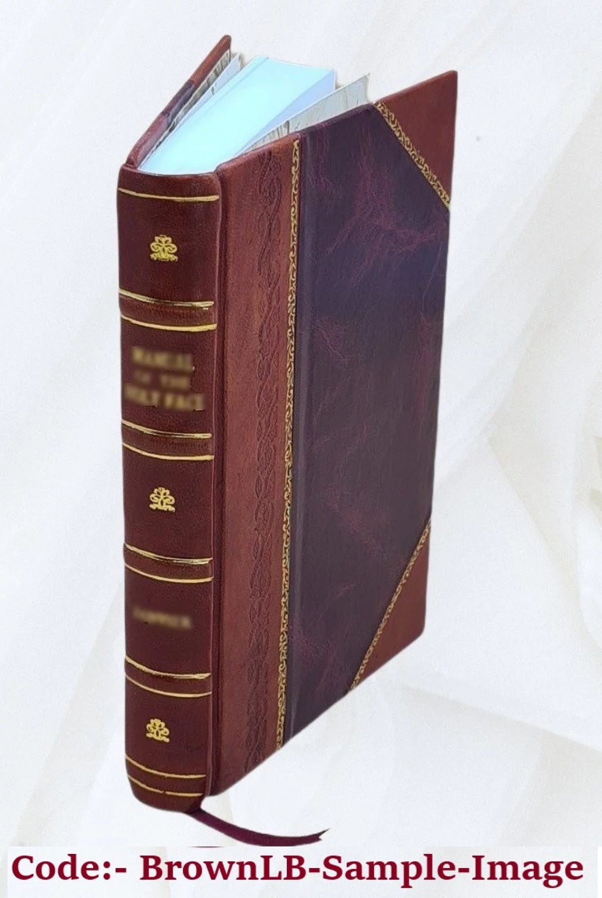 Leather Bound Book Q511687