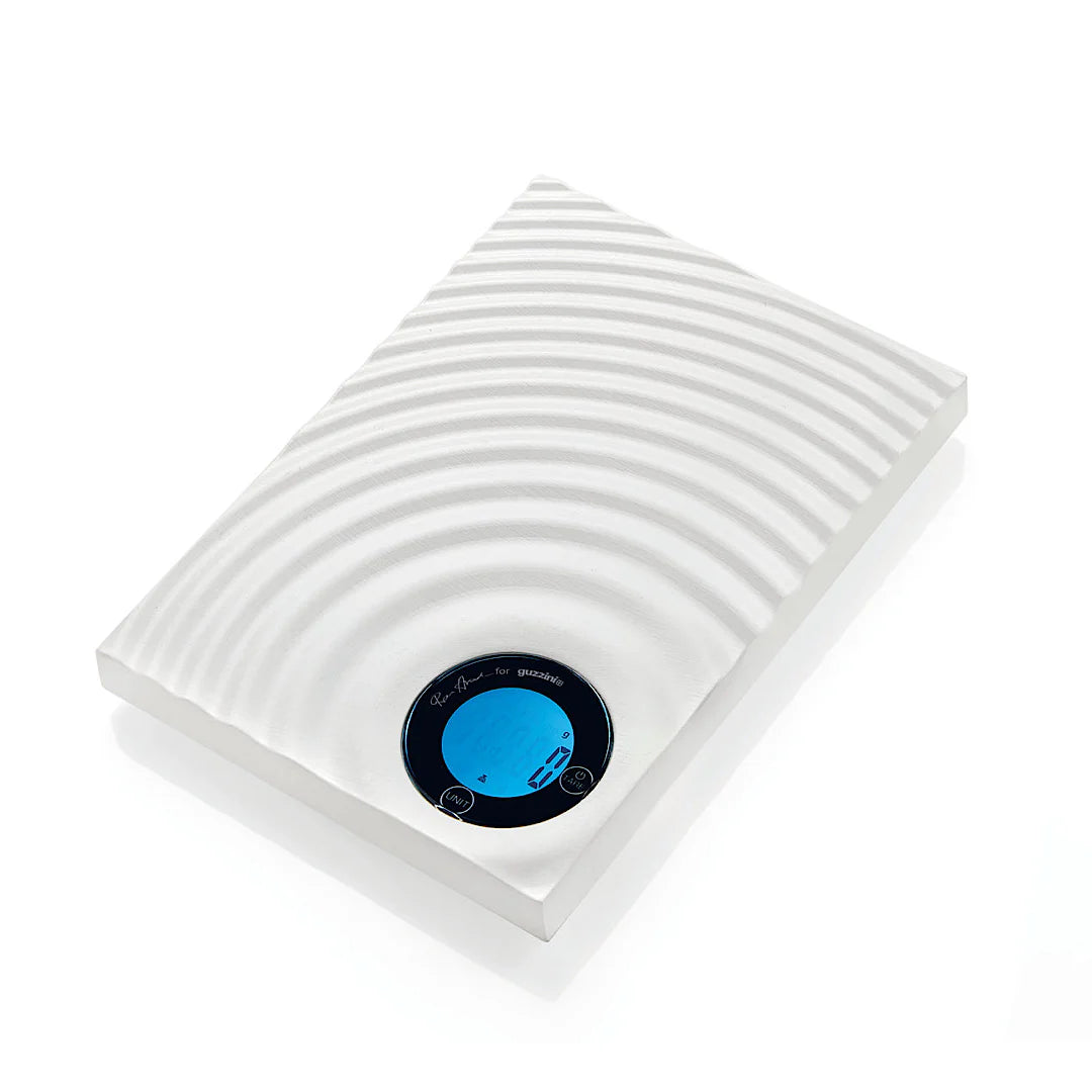 Electronic Scale C822