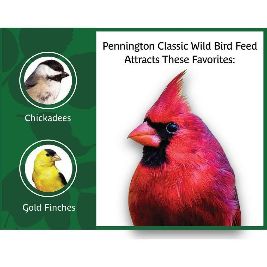 Wild Bird Feed and Seed A9813