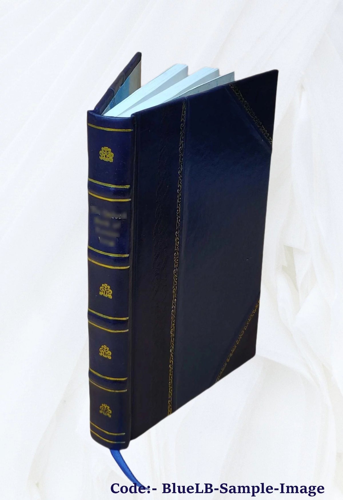 Leather Bound Book Q511687