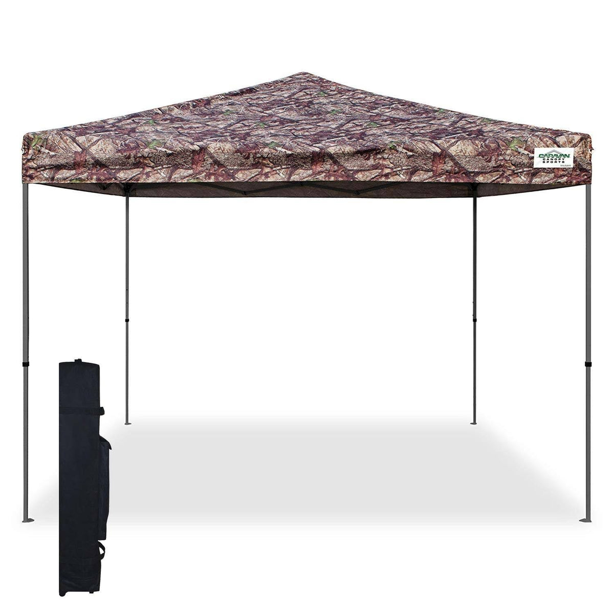 10 ft. x 10 ft. Canopy I3741