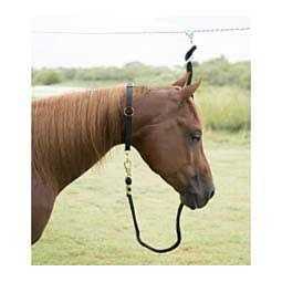 Neck Collar V177