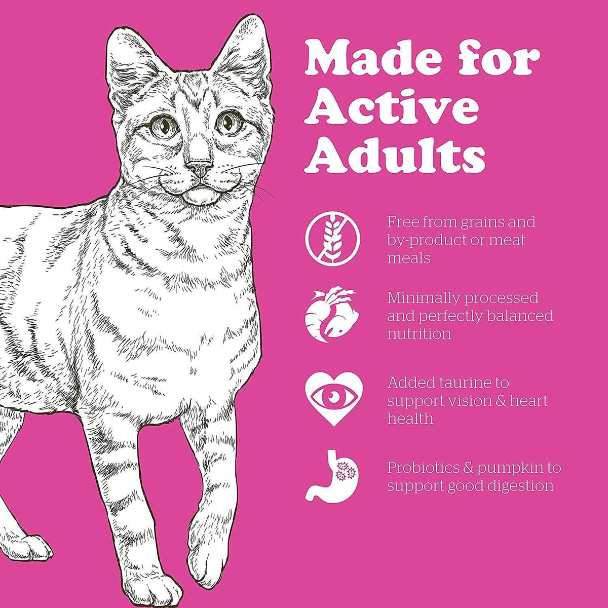 Grain-Free Adult Dry Cat Food R4438