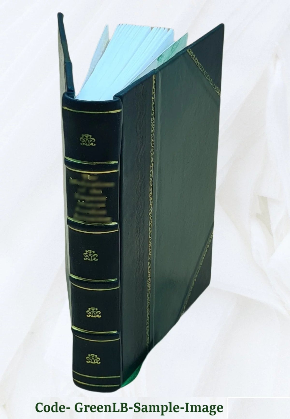 Leather Bound Book Q511687